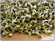 Mung Bean salad